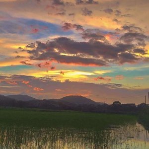 你看见星星什么时候能看见我