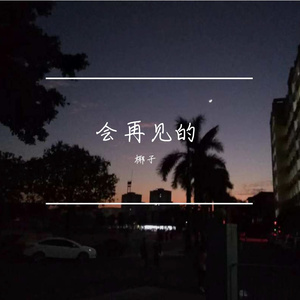 会再见的
