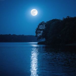 月光如水入梦境