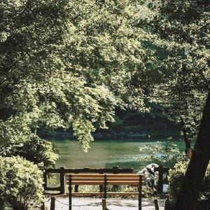 আধা(Orginal Mix）