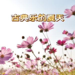 Carmen Fantasy, Op. 25:III. Allegro moderato