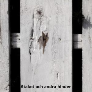 Den goda viljan