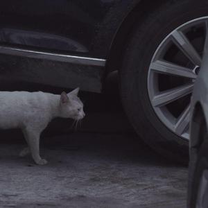 和我逃跑(pord. by barnes blvd.)