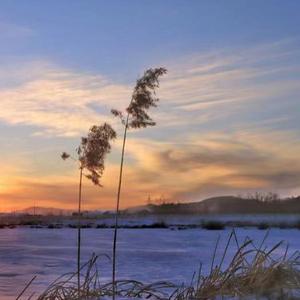 问君此去几时还