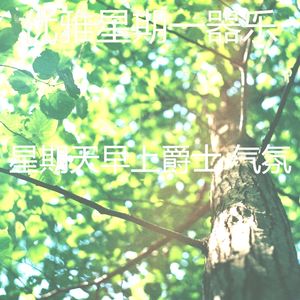 抚慰的餐厅回忆