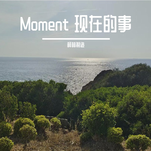 Moment 现在的事