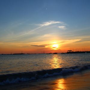 关于孤独我想说的话(片段版）