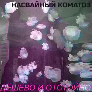 Дёшево и отстойно