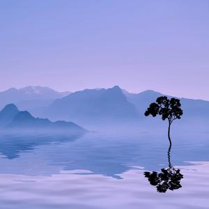 觉察呼吸之间（钢片琴）