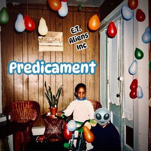 Predicament