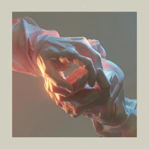 有爱的家庭养出恋家的鸟