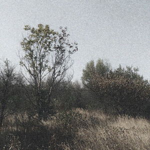 Nous sommes de la glace