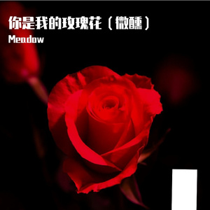 你是我的玫瑰花（微醺）