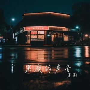 黑夜的声音
