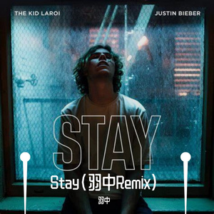 The Kid LAROI-STAY（羽中 remix）