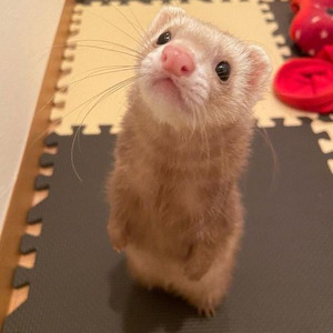 one direction what makes you beautiful