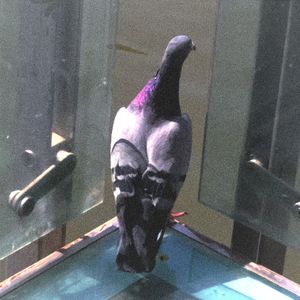 对峙（Prod by RayKeepGoing)