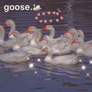 关键词（完整版）