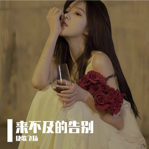 来不及的告别