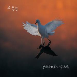 想你一次淋一场雨