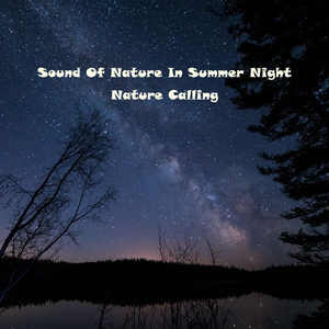 여름밤의 자연의 소리