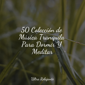 Mentes Unificadas