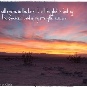 So My Baby（试听版）