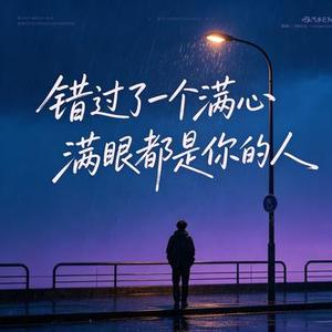 错过了一个满心满眼都是你的人