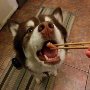 其实都没有