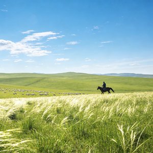 美丽的草原我的家