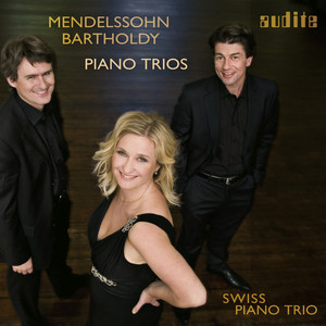 Piano Trio No. 1 in D Minor, Op. 49: Andante con moto tranquillo