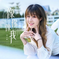 像你像我 (DJBanan版)