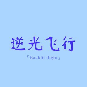 逆光飞行