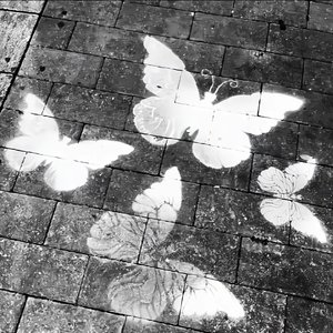 你如冬雪转瞬即逝