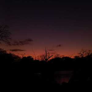 El Club del Atardecer