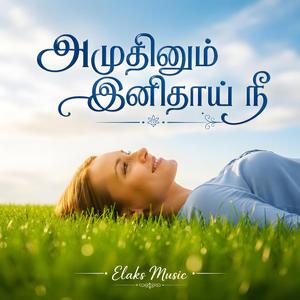 Amudhinum Inidhai Nee (Tamil)