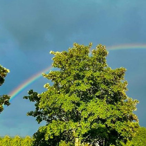 Rainbow Colors