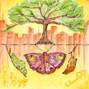 Butterfly Rise