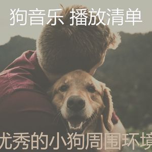 有趣训练你的狗情怀