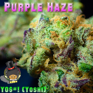 Purple Haze