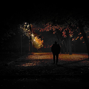 Міцні горішки