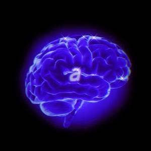 抓住了四月的尾巴