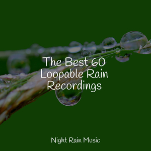 Ocean Waves and Seagulls Overhead