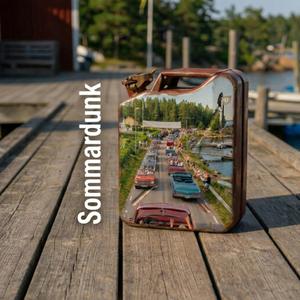 Skärgårdscruise