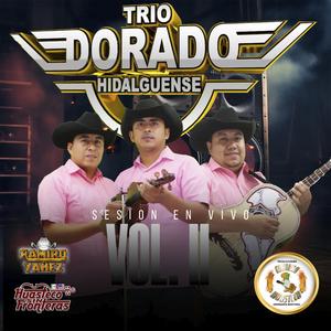 Cotorro Huasteco (En vivo)