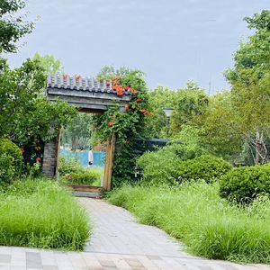 纯真的少年情义