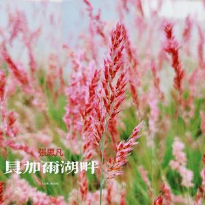 世界第一等（吉他弹唱）