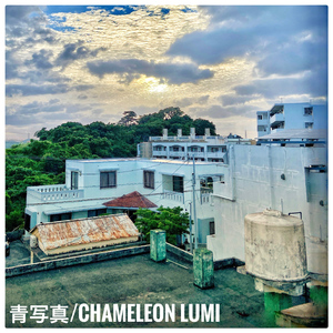 青写真