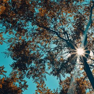 泪桥（Cover:杜宣达）