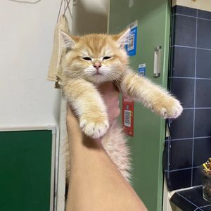 别恨我（prod by 大力出奇迹）